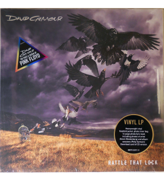 DAVID GILMOUR - rattle that lock mesvinyles.fr