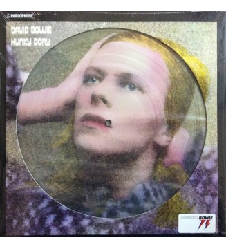 David Bowie - Hunky Dory (LP, Album, Ltd, Pic, RE, RM) mesvinyles.fr