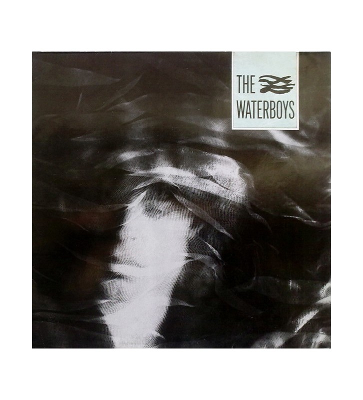 The Waterboys - The Waterboys (LP, Album, RE) vinyle mesvinyles.fr 