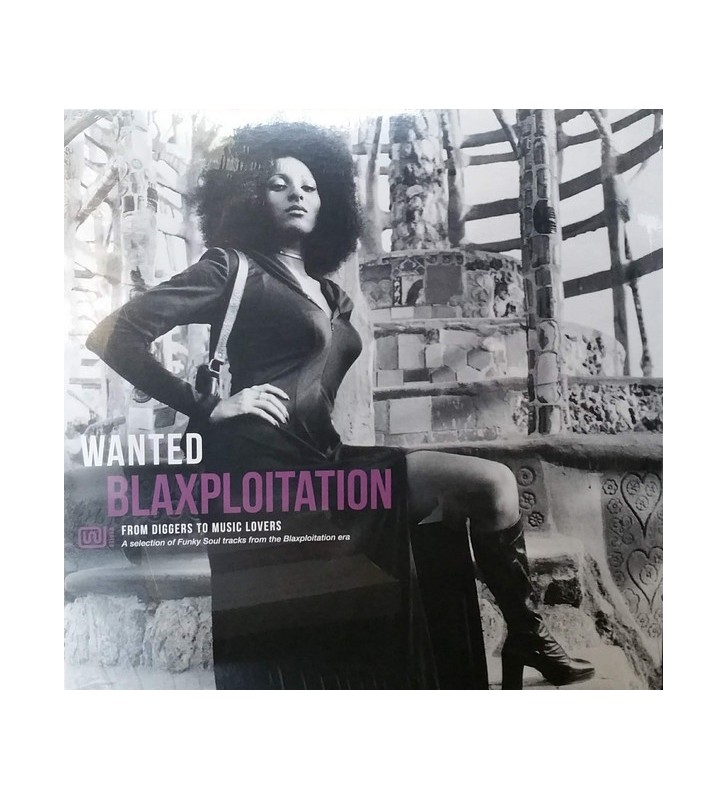 Various - Wanted Blaxploitation (LP, Comp, 180) vinyle mesvinyles.fr 