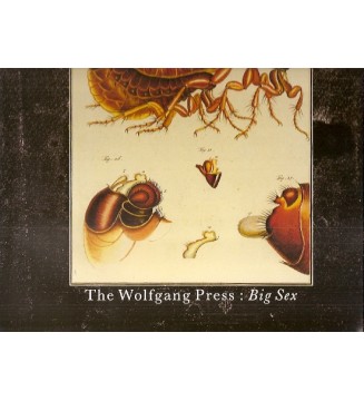 The Wolfgang Press - Big Sex (12', EP) mesvinyles.fr