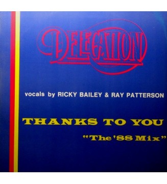 Delegation - Thanks To You (The '88 Mix) (12") vinyle mesvinyles.fr 
