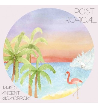 James Vincent McMorrow - Post Tropical (LP) mesvinyles.fr