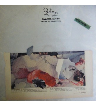 Antony And The Johnsons - Swanlights (LP, Album, Dlx, 180) mesvinyles.fr