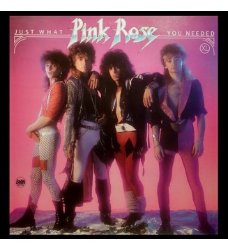 Pink Rose (2) - Just What You Needed (LP, Album) mesvinyles.fr