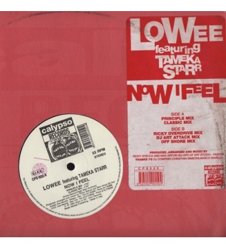Lowee Featuring Tameka Starr - Now I Feel (12') mesvinyles.fr