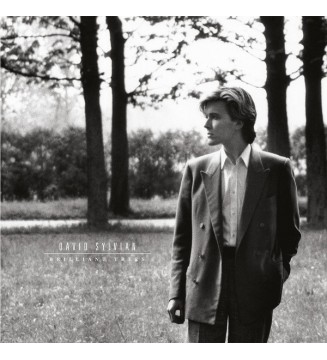 David Sylvian - Brilliant Trees (LP, Album, RE, RM, 180) vinyle mesvinyles.fr 