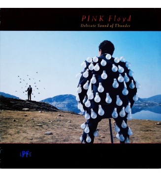 PINK FLOYD - Delicate Sound Of Thunder (ALBUM,LP,STEREO) vinyle mesvinyles.fr 