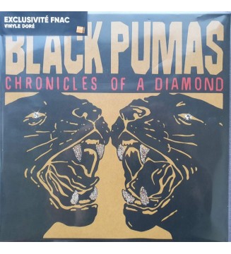 BLACK PUMAS - Chronicles Of A Diamond (ALBUM,LP,STEREO) mesvinyles.fr