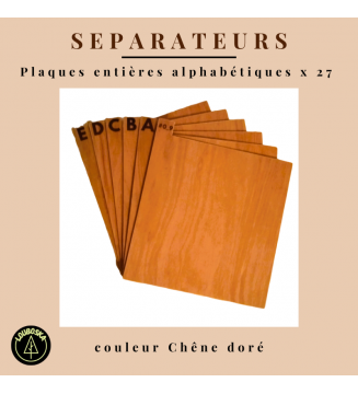 copy of Kit Séparateurs alphabetique slim X 27 mesvinyles.fr 