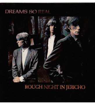 DREAMS SO REAL - Rough Night In Jericho (ALBUM,LP) mesvinyles.fr
