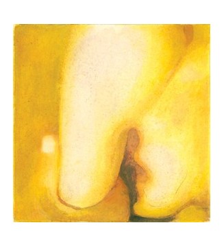 THE SMASHING PUMPKINS - Pisces Iscariot (LP) mesvinyles.fr