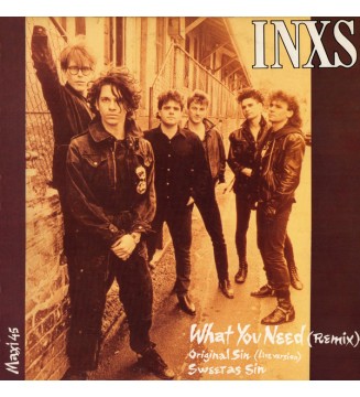 INXS - What You Need...