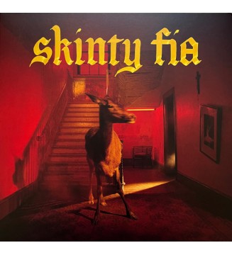 FONTAINES D.C. - Skinty Fia (ALBUM,LP,STEREO) mesvinyles.fr
