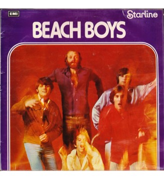 THE BEACH BOYS - The Beach Boys (LP) mesvinyles.fr