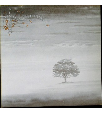 Genesis - Wind & Wuthering (LP, Album, RE) mesvinyles.fr