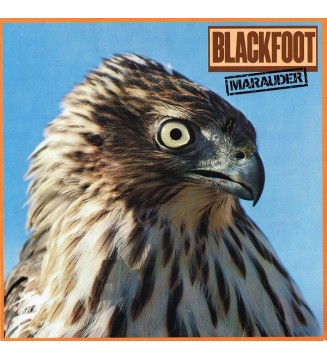 Blackfoot (3) - Marauder (LP, Album) mesvinyles.fr