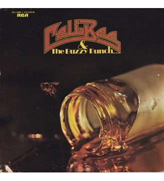 Celi Bee & The Buzzy Bunch - Celi Bee & The Buzzy Bunch (LP, Album) mesvinyles.fr