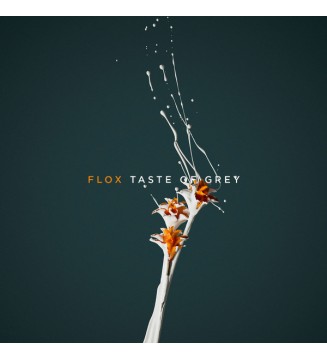 Flox - Taste Of Grey (LP, Album, Ora)  mesvinyles.fr