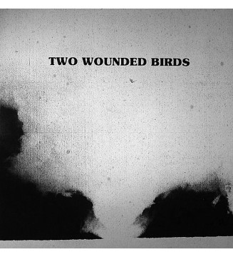 Two Wounded Birds - Two Wounded Birds (LP, Album, Ltd) new mesvinyles.fr
