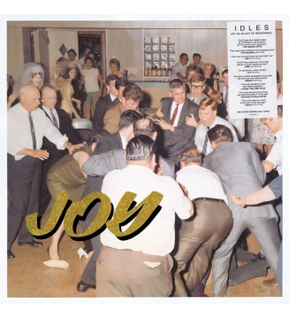 Idles - Joy As An Act Of Resistance (LP, Album) new mesvinyles.fr