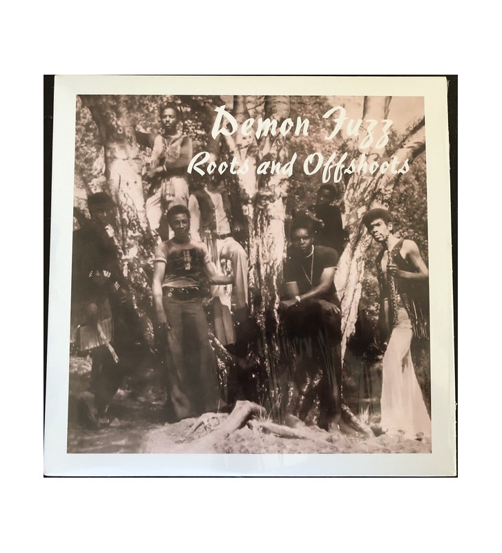Demon Fuzz - Roots And Offshoots (LP, Album, RE) mesvinyles.fr 